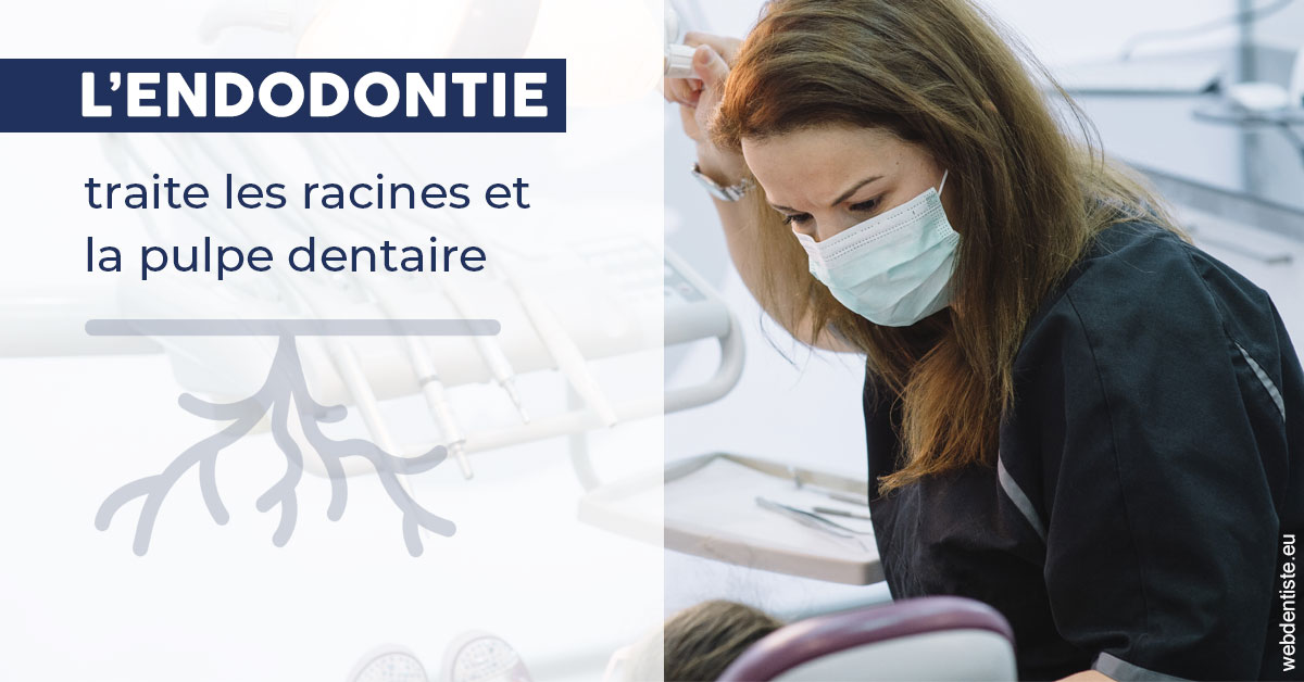 https://www.hygident-colin.fr/L'endodontie 1