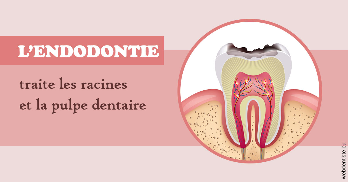 https://www.hygident-colin.fr/L'endodontie 2