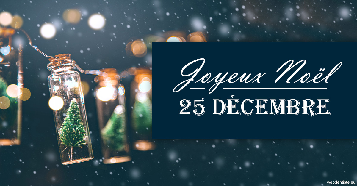 https://www.hygident-colin.fr/2023 T4 - Joyeux Noël 01