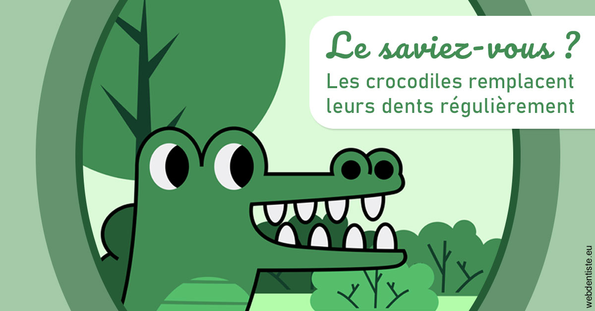 https://www.hygident-colin.fr/Crocodiles 2