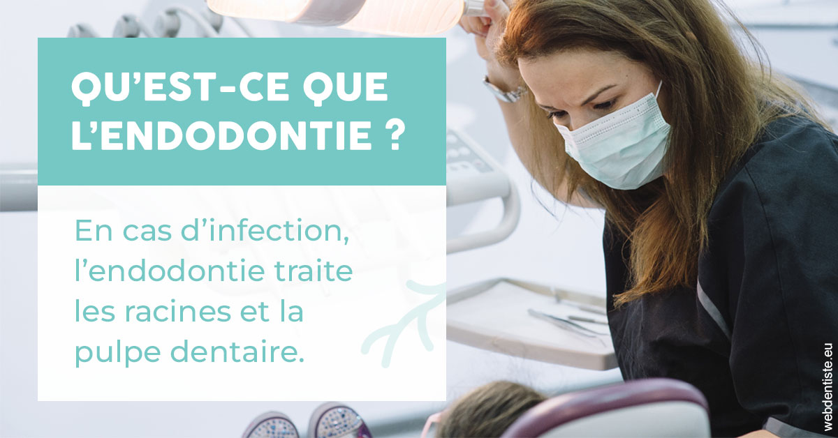 https://www.hygident-colin.fr/2024 T1 - Endodontie 01