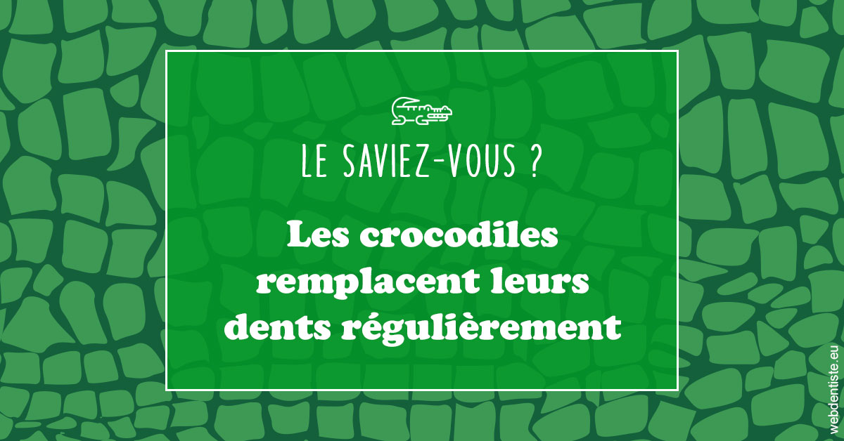 https://www.hygident-colin.fr/Crocodiles 1